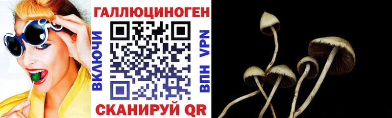 MEGA ONION Гремячинск Псилоцибиновые грибы Magic Shrooms