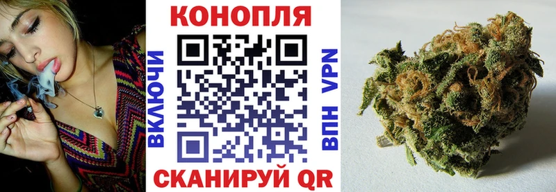Бошки Шишки ГИДРОПОН  Гремячинск 